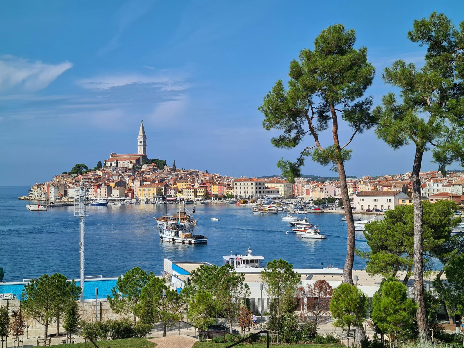 white and blue boat on sea near green trees and buildings under blue sky during daytime